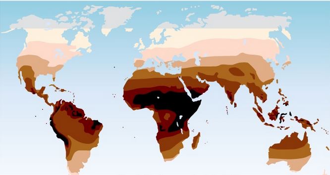 average-skin-color