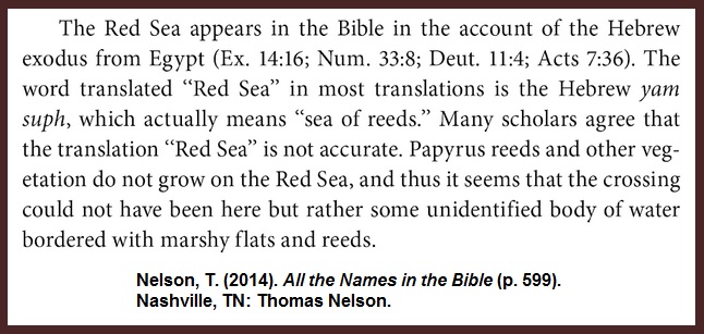 Nelson-Rea-Sea-Reeds-Nile-Exodus