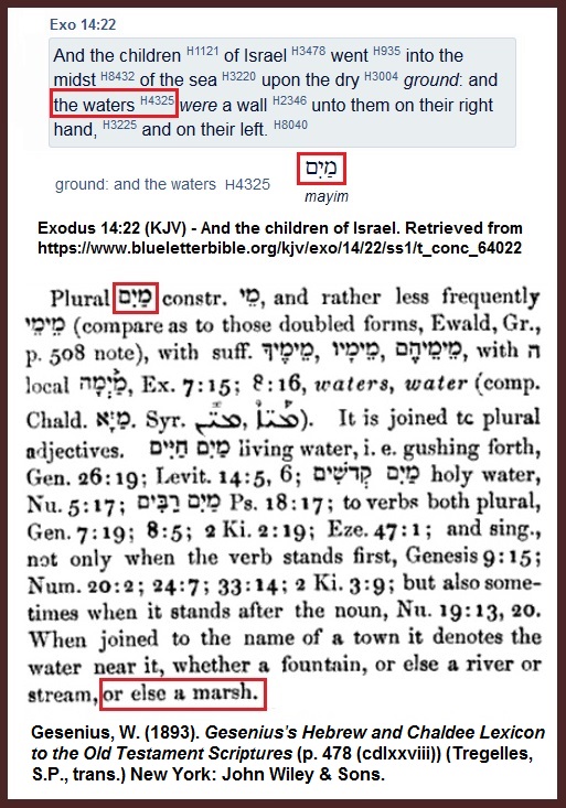 Strongs-Gesenius-Hebrew-Mayim-Marsh-Exodus-14.22